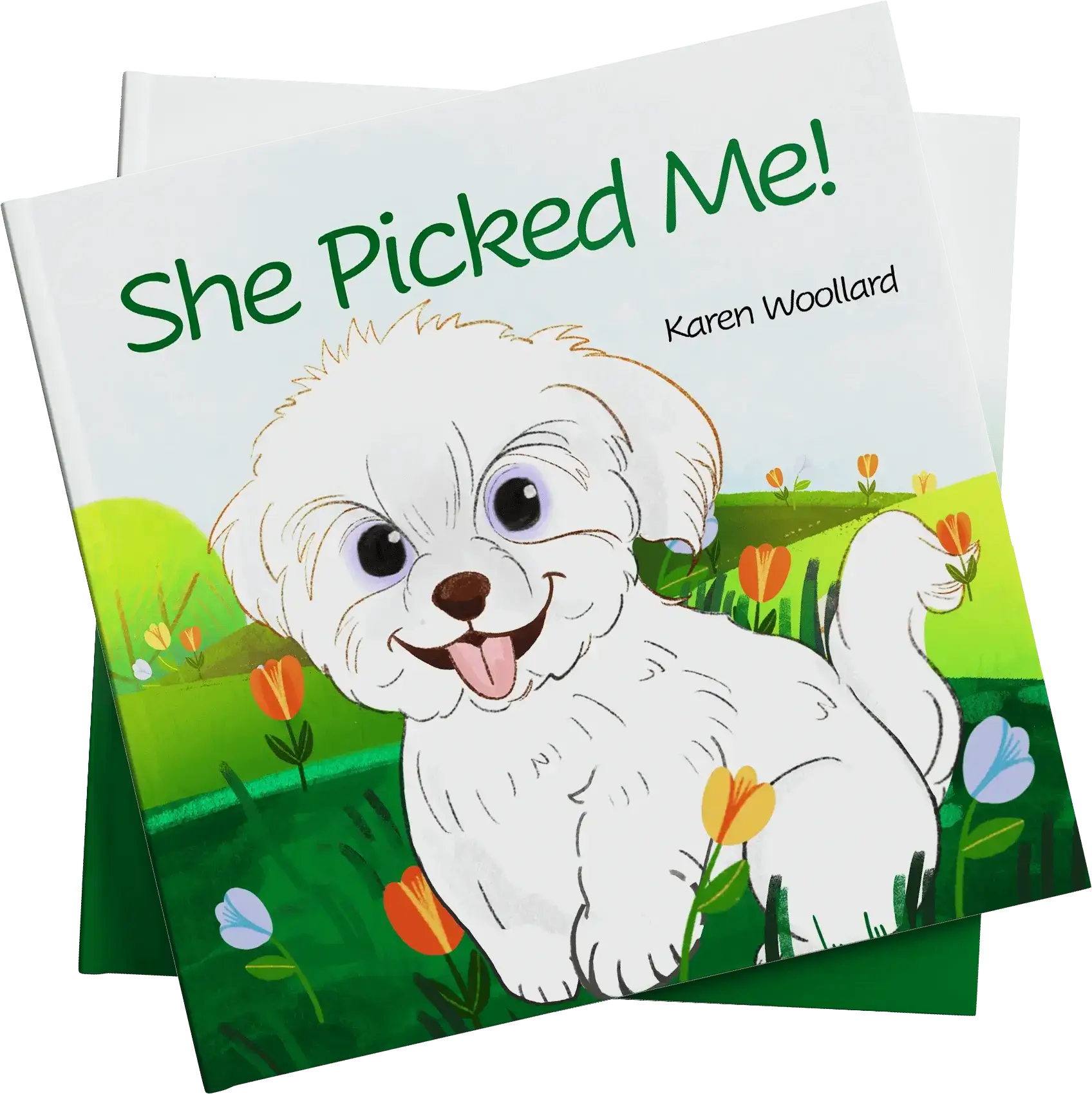 Scholastic Publishers